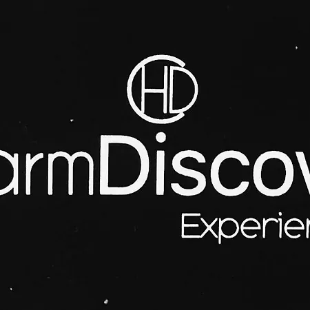 Charm Discovery Principe 7 公寓 *